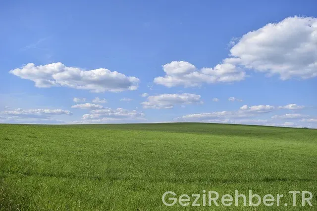 Ordu bursa arası uçakla kaç saat