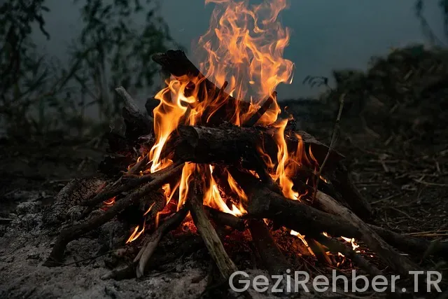 Orman çadır kamp yerleri