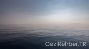 Pasaport Türleri Nedir?