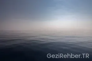 Pasaport Türleri Nedir?