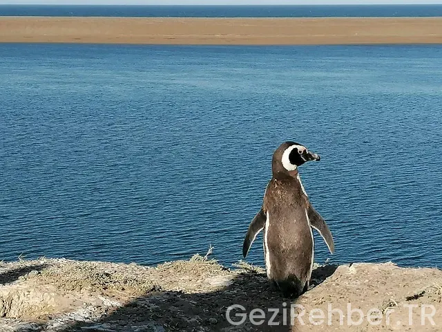 Reiseführer Argentinien
