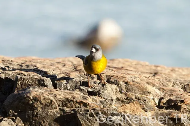Reiseführer Argentinien