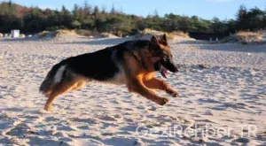 Reiseführer Elsass 2025