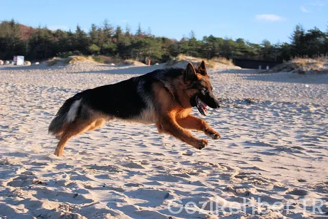 Reiseführer Elsass 2025