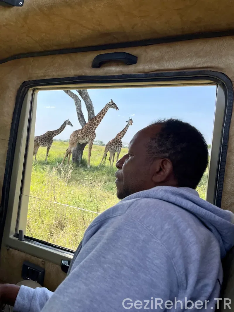 Reiseführer tansania