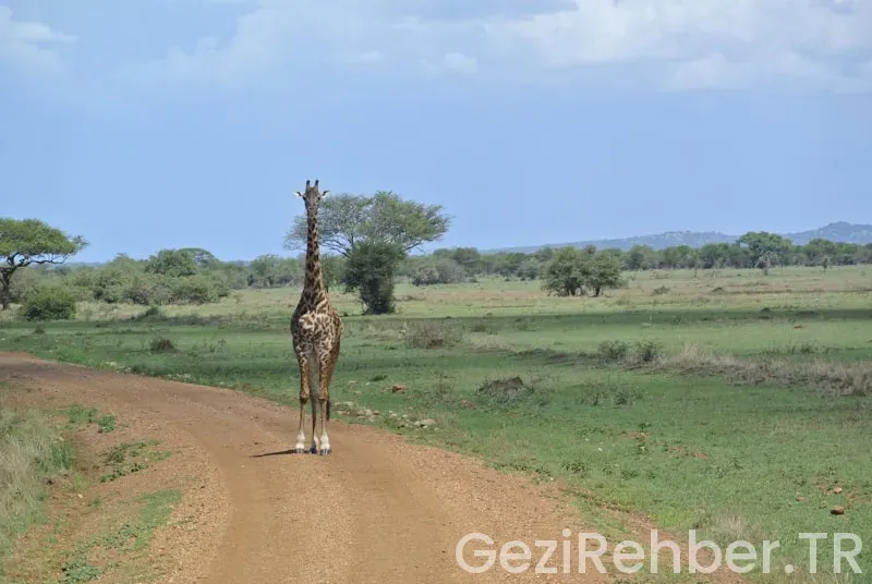 Reiseführer tansania