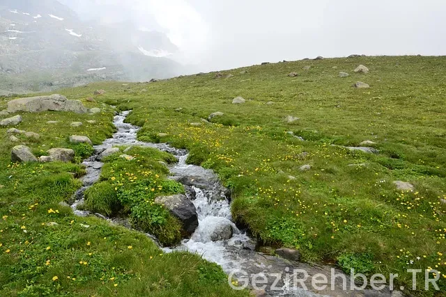 Rize Gezi Turları