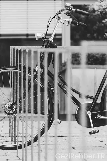 Rodos nerede kalınır