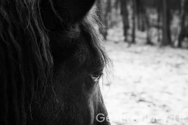Roma'da nerede kalınır