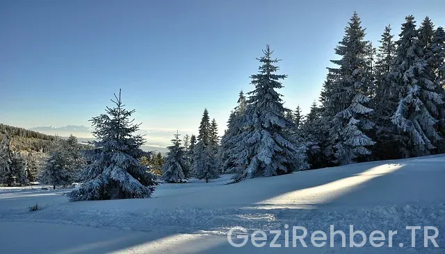 Romanya türkiye uçakla kaç saat