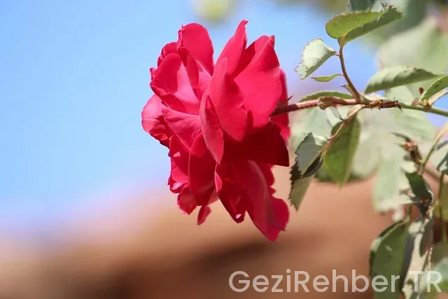 Romanya türkiye uçakla kaç saat