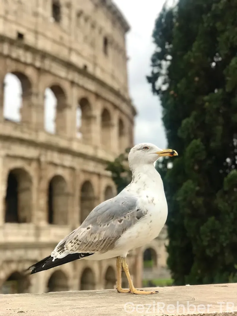 Rome travel guide