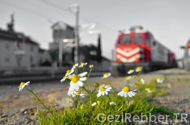 Rotasız seyyah yol hikayeleri