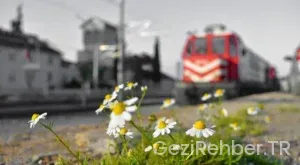 Rotasız seyyah yol hikayeleri