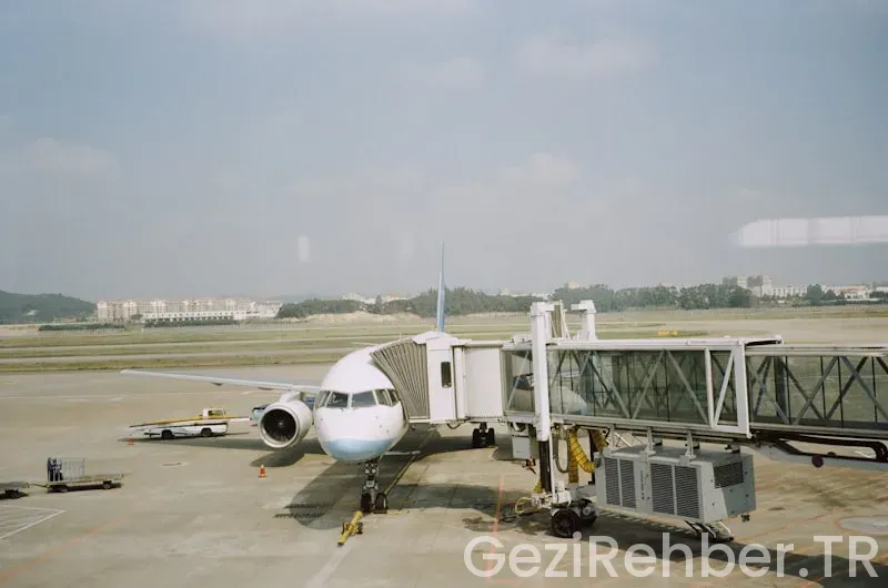 Saga travel insurance