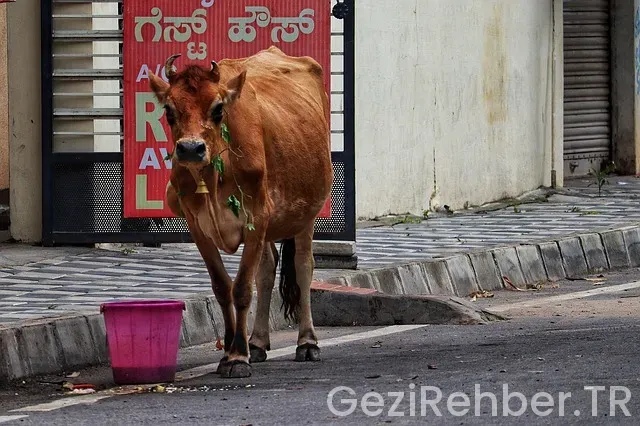 Sakarya Gezi Rehberi