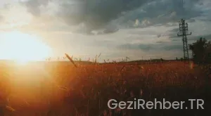 Samsun Gezi Tur Firmaları ve Rehberler