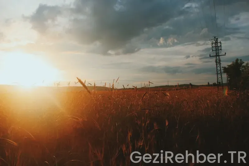 Samsun gezi tur firmaları