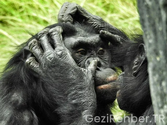 San diego da nerede kalınır