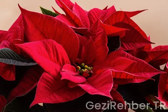 Sanal Gezi Anıtkabir