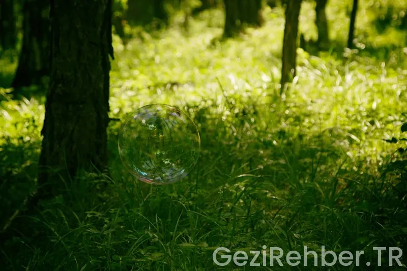 Sanal gezinti Sanal gezinti