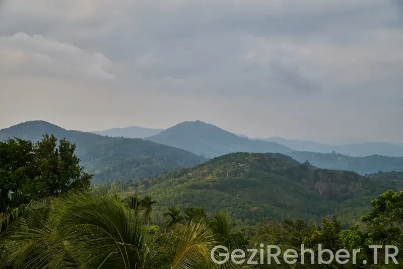 Sanal gezinti Sanal gezinti