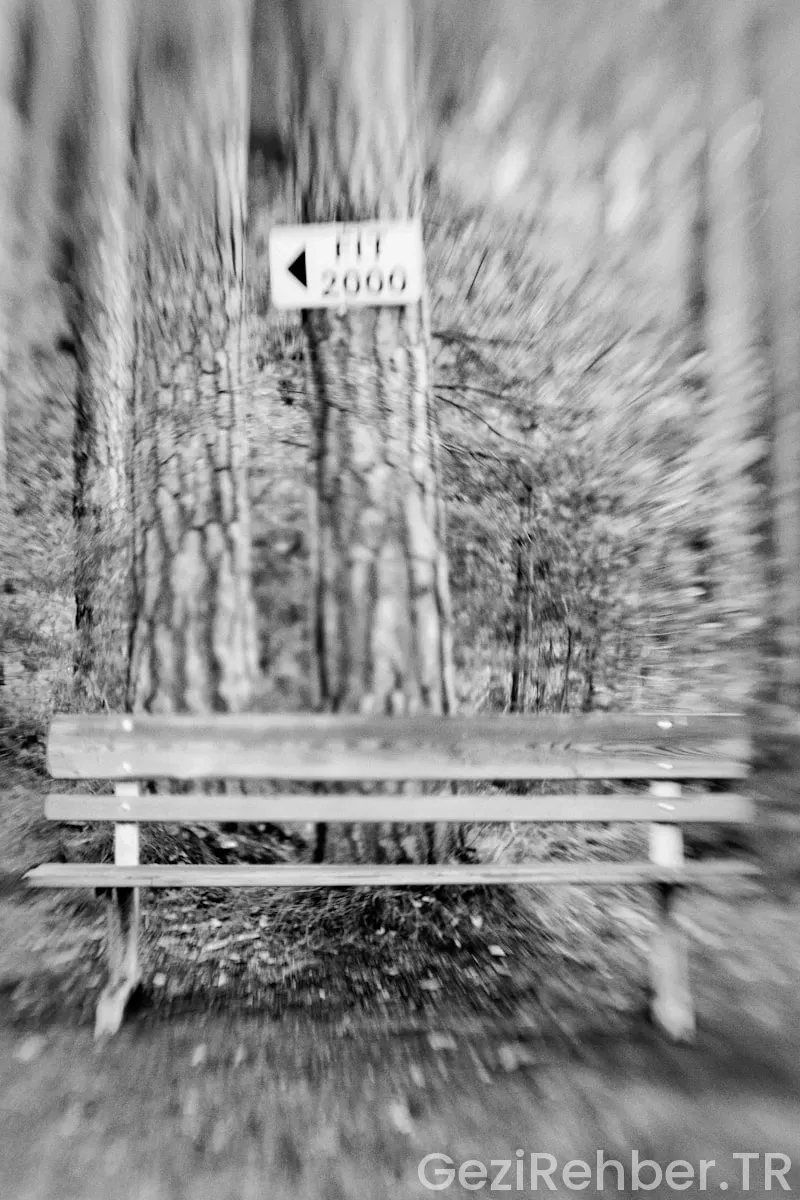 Sanal gezinti Sanal gezinti