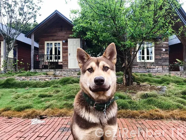 Sapanca Bungalov Seyahat