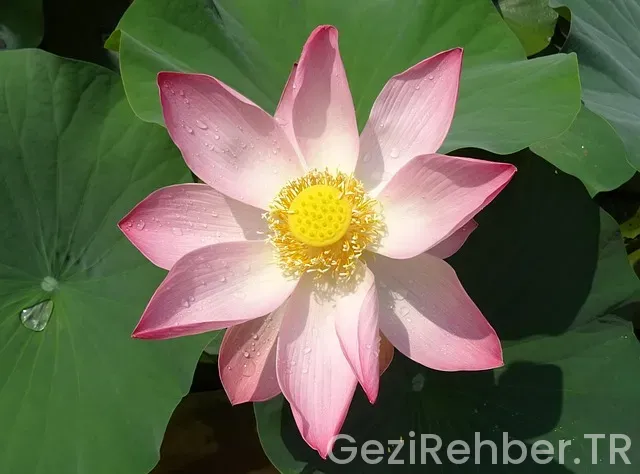 Saranda gezi rehberi