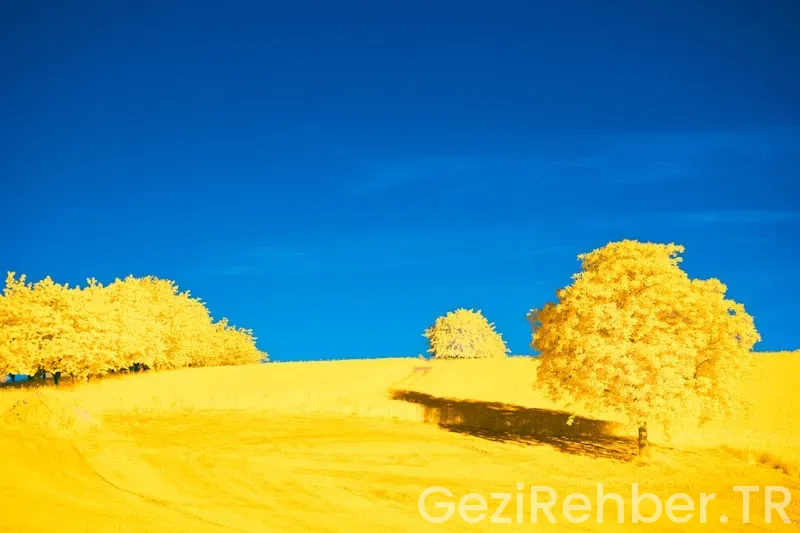 Sarıyer’de Gezilecek Yerler