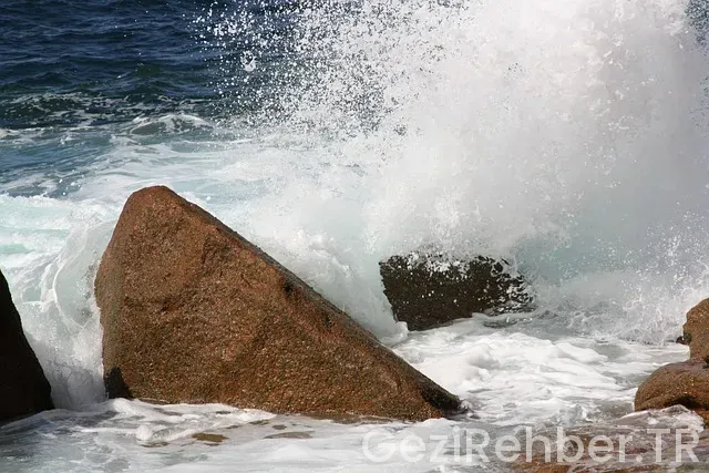 Schengen Vizesi ile Gidilen Ülkeler