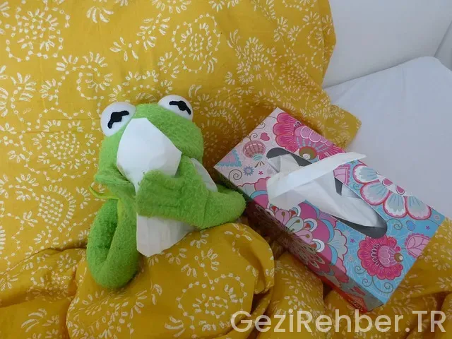 Schengen Vizesi ile Gidilen Ülkeler