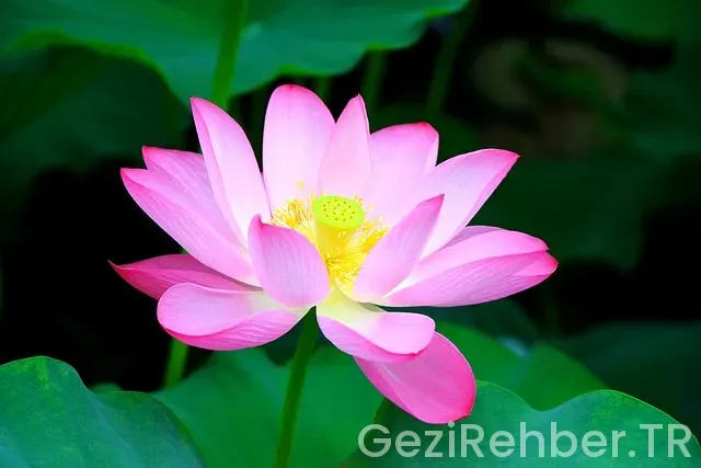 Schöne Städte in Deutschland