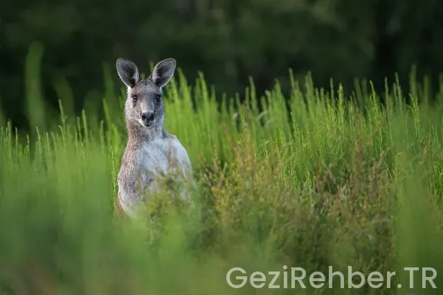 Setur İle Doğu Anadolu Turu Gezi Programı