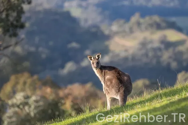 Setur İle Doğu Anadolu Turu Gezi Programı