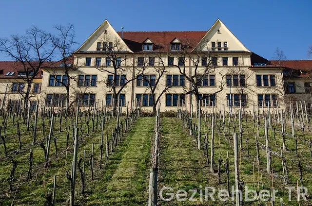 sightseeing tours in London