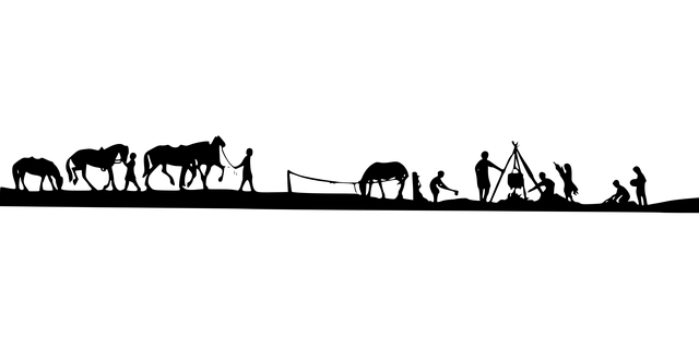 Şile Ağva Kamp Alanları