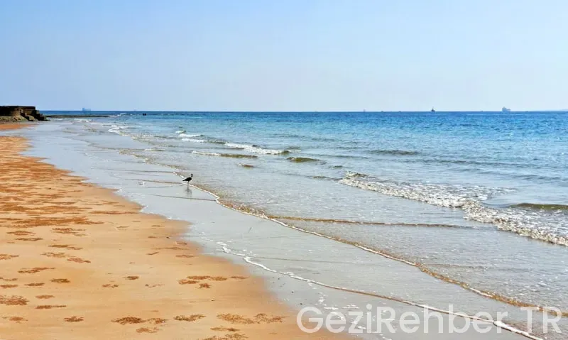 Sinop plaj önerileri