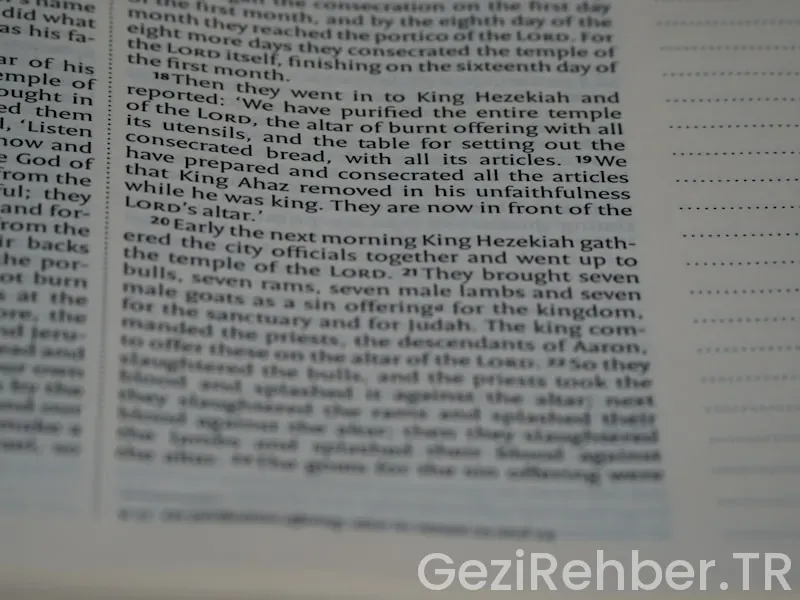 Son Kullanım Tarihi Olmayan Yiyecek Çeşitleri