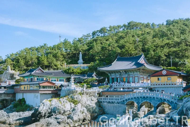 South korea travel guide