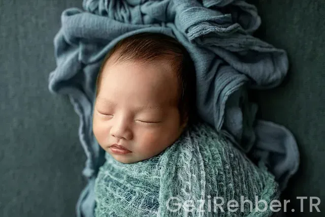 Tayfun talipoğlu yol hikayeleri