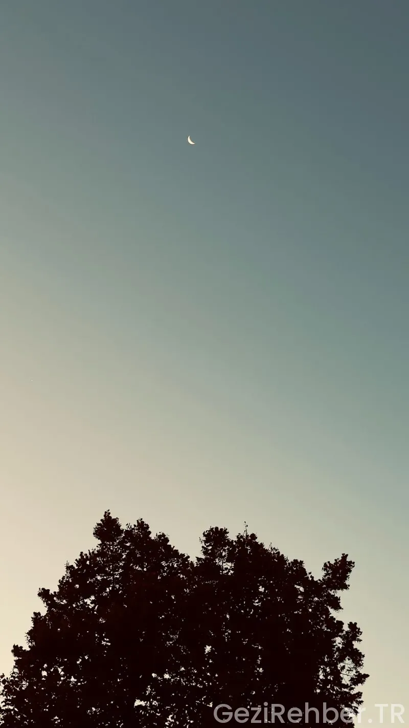 Tek Başına Seyahate Çıkacaklar İçin Güvenlik Rehberi