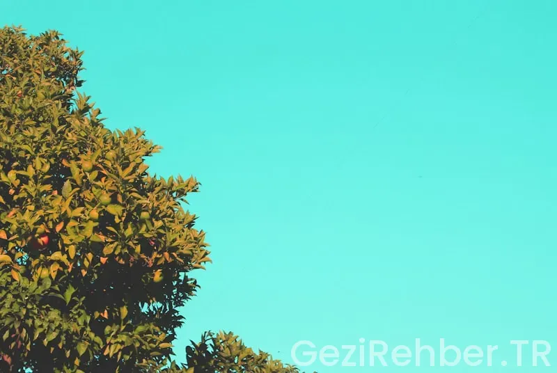 Tek Başına Seyahate Çıkacaklar İçin Güvenlik Rehberi