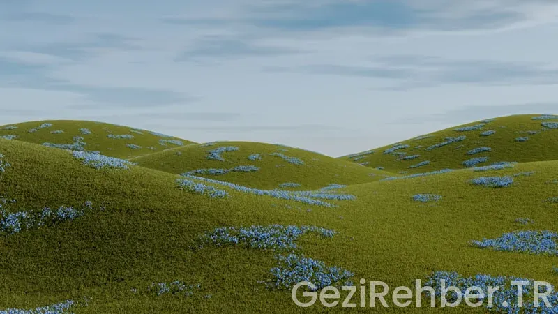 Tekirdağ’da Gezilecek Yerler