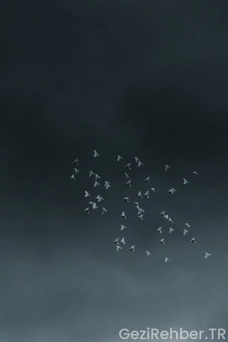 Tokat’ta Gezilecek Yerler Tokat’ta Gezilecek Yerler