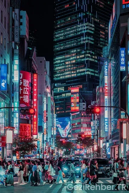 Tokyo uçakla kaç saat