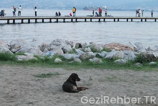 Trabzon deniz kenarı kamp yerleri