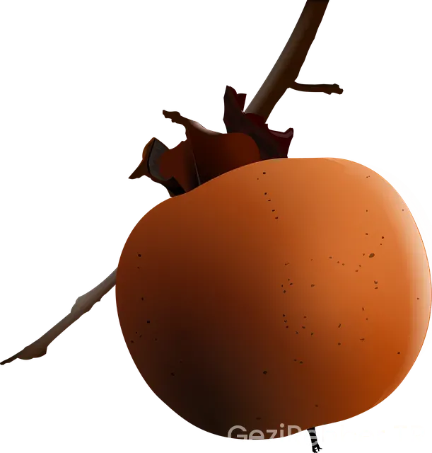 Trabzon Gezi Rotası