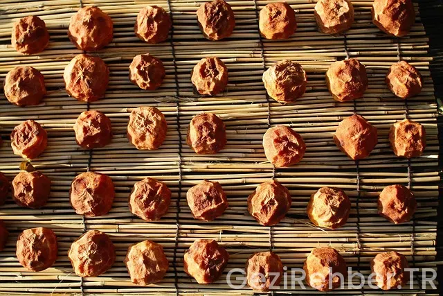 Trabzon Gezi Rotası