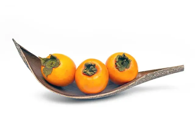 Trabzon Gezi Rotası